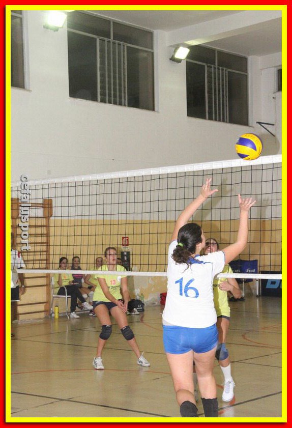 131026 sport 290_tn.jpg